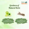 Himalaya Herbals Gentle Daily Care Protein Shampoo, 400ml - Image 4