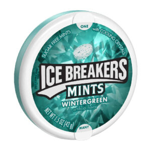 Ice Breakers Wintergreen Sugar Free Mints, 42gm