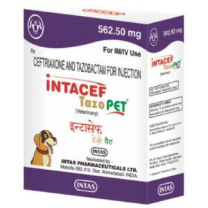 Intacef Tazo PET Ceftriaxone Injection