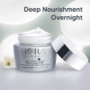 Lotus Herbals White Glow Whitening And Brightening Night Cream, 60gm - Image 4