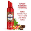 Old Spice Lionpride No Gas Deodorant Body Spray Perfume for Men, 140ml - Image 3
