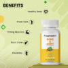 Fixuphealth Bone And Joint Moringa Boswellia Extract, 60tabs - Image 6